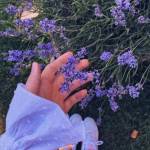 Anesha Ramcharran Profile Picture