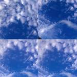 Iahkeda Moore Profile Picture