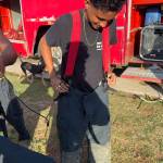 Dream Punch Profile Picture