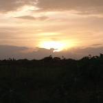 Avinash Mangrau Profile Picture