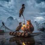 socecim722 Profile Picture