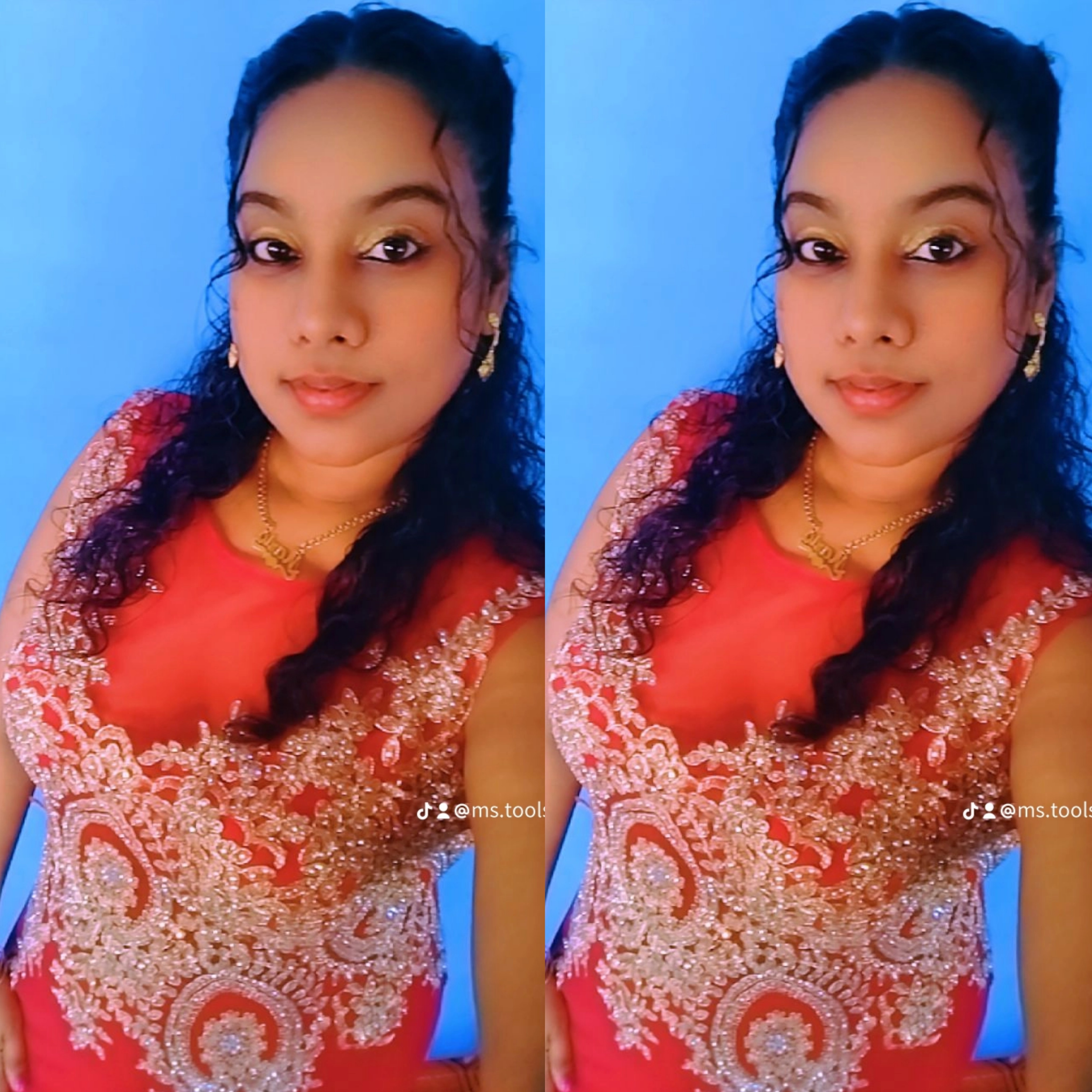 Nirvaani Toolsie Profile Picture