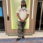 A Hodge Profile Picture