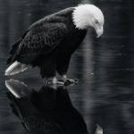 Rashad Smartt Profile Picture