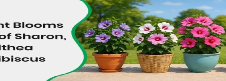 pixies garden Cover Image